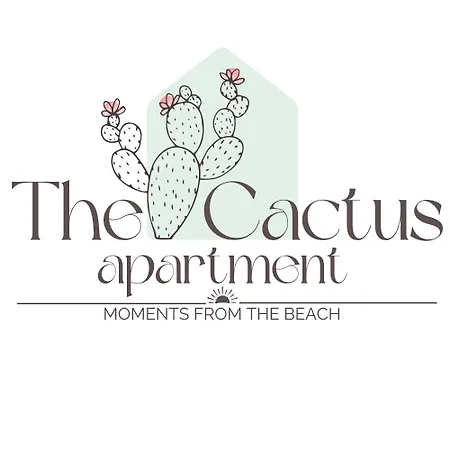 The Cactus South Bay * Варна